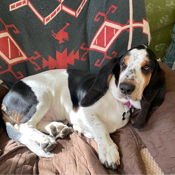 Hello friends! - Picture 13 of 16